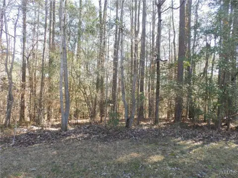 Unzoned Land Parcel in Tuscaloosa