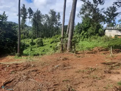 Lush Land in Moca, PR