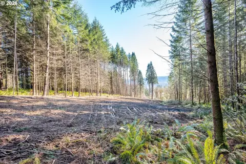 River-View Residential Land Parcel