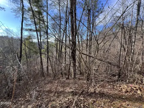 Sevierville Mountain Homesite in Shagbark Resort