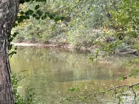 Waterfront Land with Creek Frontage