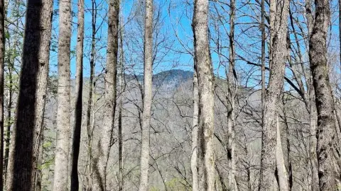 Unrestricted Mountain Land in Sylva