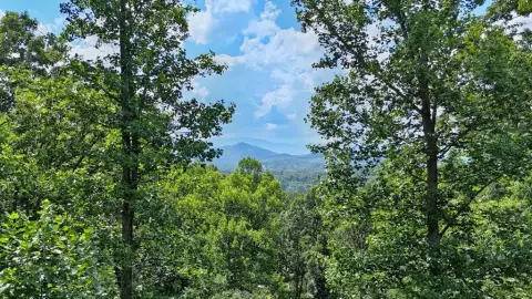 2.12 Acre Wooded Lot