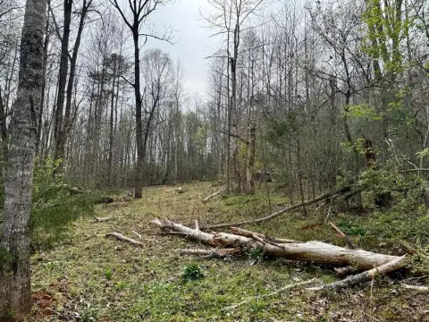 Franklin, NC Homesite Opportunity