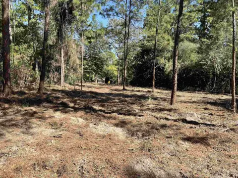 Residential Lot in Rayburn Country
