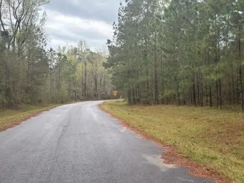 Residential Land in Bainbridge, GA