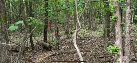 Residential Land in Desirable Location