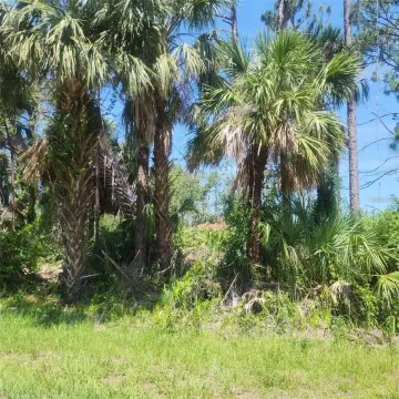 Oversized Wooded Corner Lot