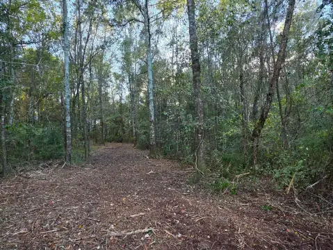 Hardwood Hunting Tract Near Samson