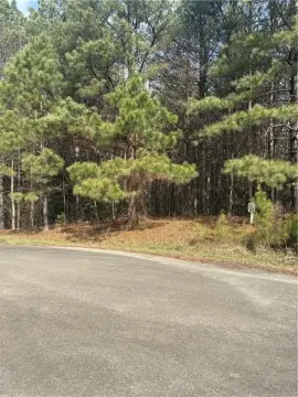 Ellijay Homesite in Sassafras Estates