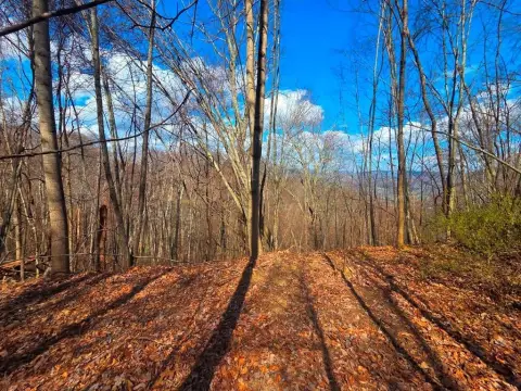 Mountain View Homesite in Waynesville