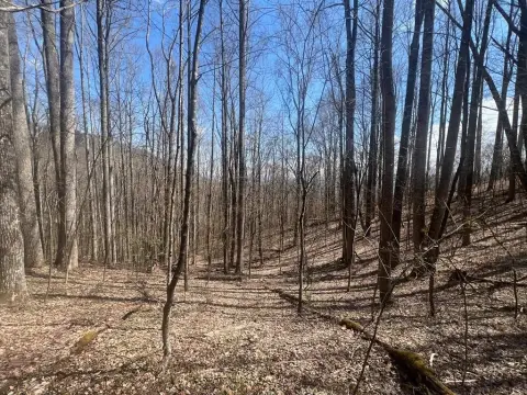 Smoky Mountain Retreat Land