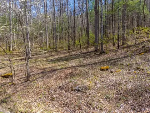 Tuckasegee Land Parcel For Sale