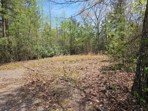 Unrestricted Land Near Downtown Franklin