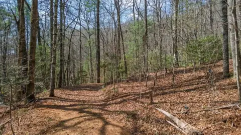 Usable Land in Franklin, NC