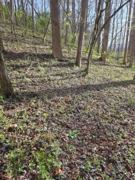 Wooded Lot in Riverbend Estates
