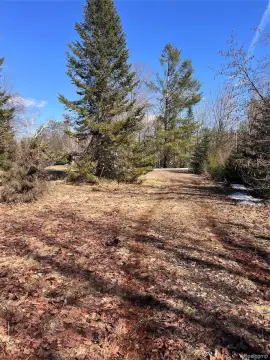 Recreational Land Near North Lake