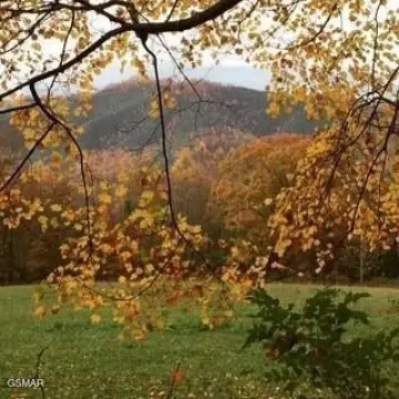 Unrestricted Land in Cosby, TN