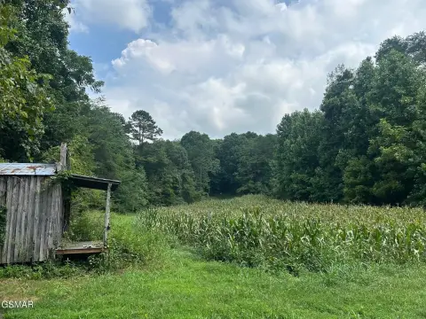 23+ Acre Hunting and Building