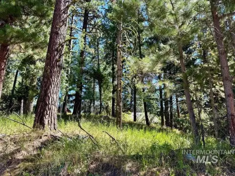 Treed Building Lot in McCall