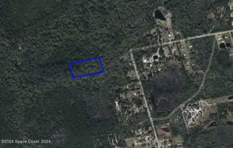 Vacant Land in Mims, FL