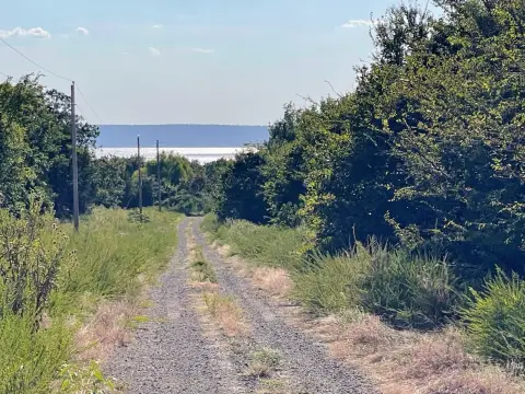 Wooded Land Near Eufaula Lake