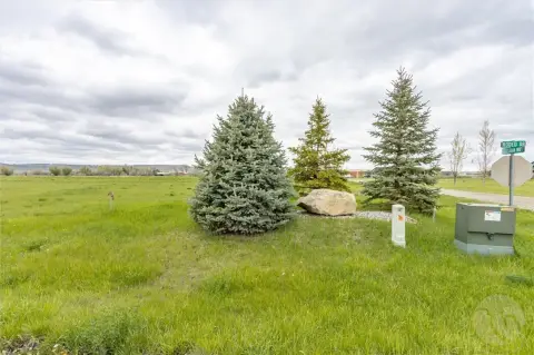 Picturesque Land in Yellowstone Meadows
