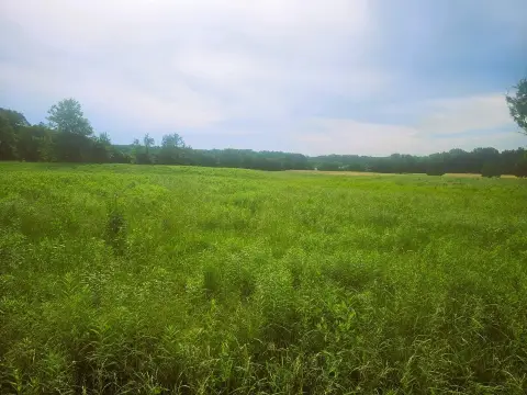 Unrestricted Land with Pasture and Woods