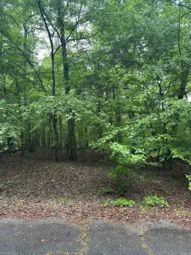 Hot Springs Village Subdivision Lot