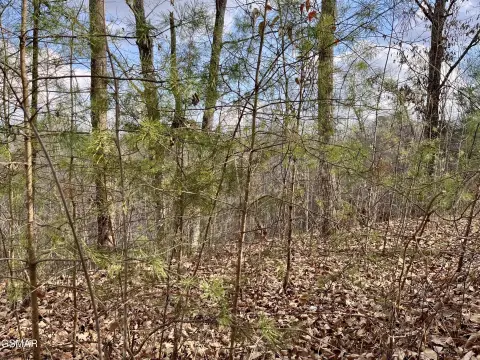 Sevierville Land Near Tourist Attractions