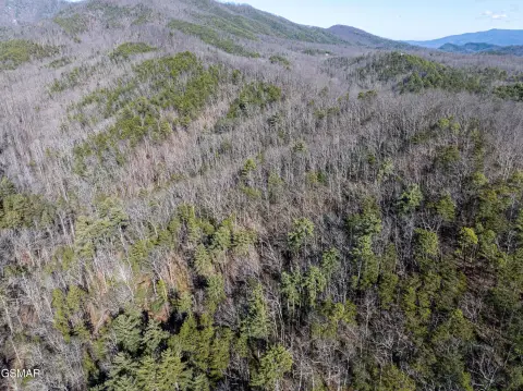 Unrestricted Land Near Dollywood