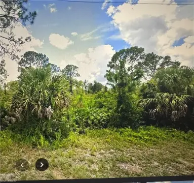 Lehigh Acres Land For Sale