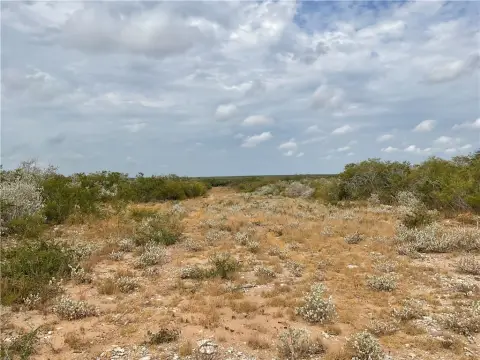 Honey Creek Ranch Hunting Property