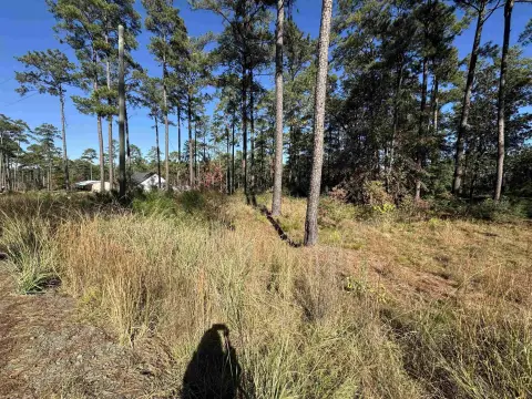 Lake Sam Rayburn Acreage Homesite