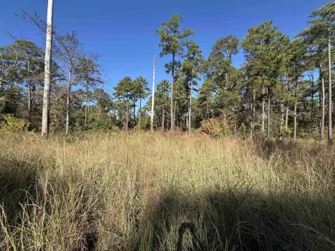 Lake Sam Rayburn Acreage Opportunity