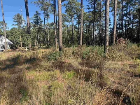 Lake Sam Rayburn Waterfront Lot
