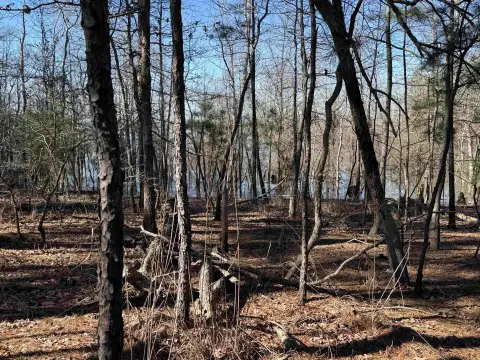 Waterfront Lot Near Lake Sam