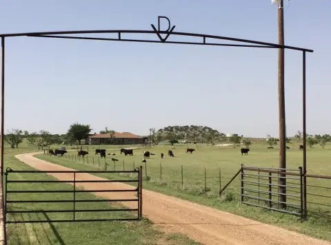 Ranch Property with Updated Home