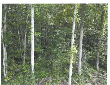 Vacant Land Near Downtown