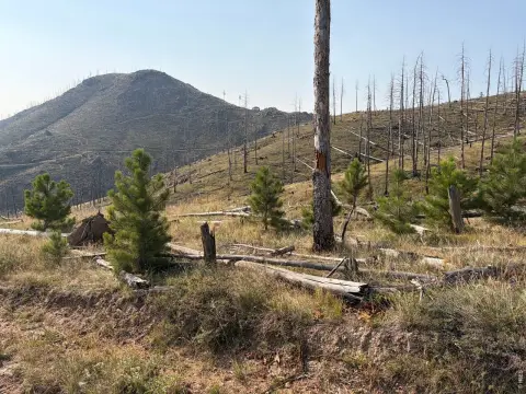 Foothills Agricultural Land