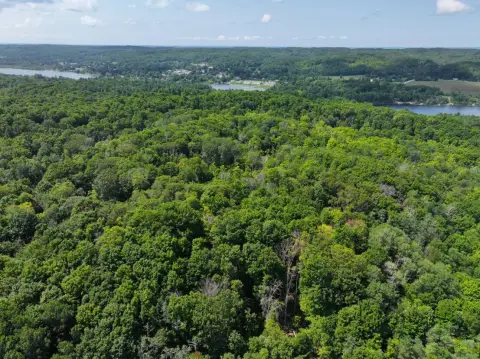Mostly Wooded Hunting Tract with Trail