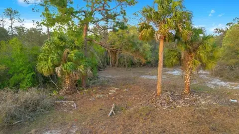 Residential Land in Kissimmee