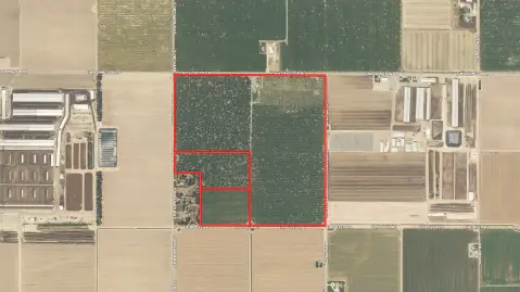 Productive Orchard in El Nido