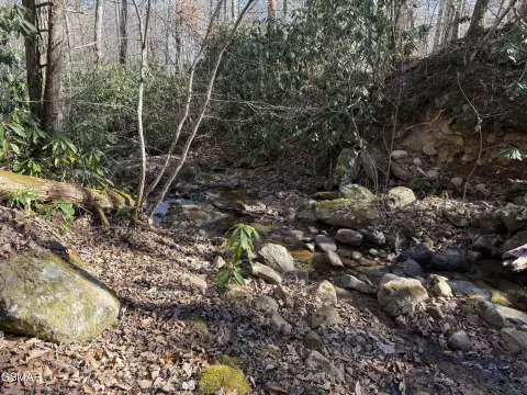 Cosby, TN Land with Creek