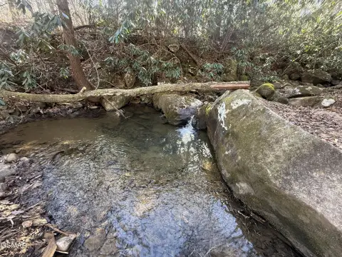 Cosby, TN Land with Creek