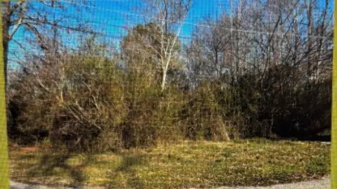 Residential Lot in Russellville, AL