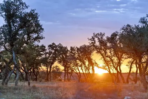 Texas Hill Country Land Opportunity