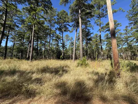 Lake Sam Rayburn Land Opportunity