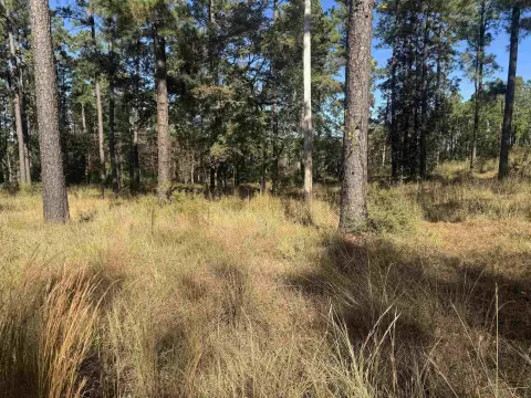 Lake Sam Rayburn Homesite Opportunity