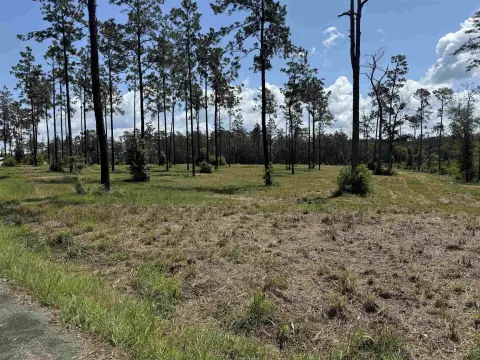 Lake Sam Rayburn Acreage Opportunity